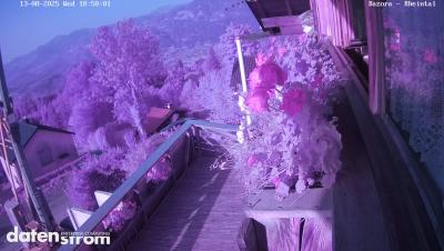 Bazora – Rheintal