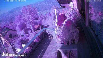 Bazora – Rheintal