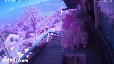 Bazora – Rheintal