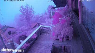 Bazora – Rheintal