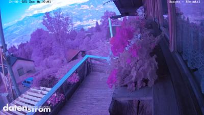 Bazora – Rheintal
