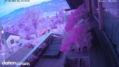 Bazora – Rheintal
