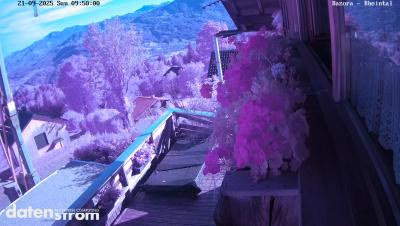 Bazora – Rheintal