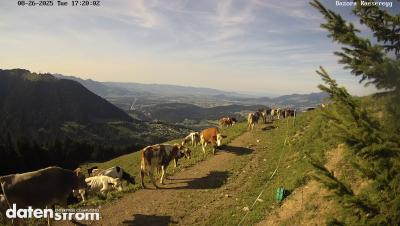 Bazora – Schneeanlage