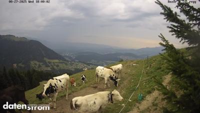 Bazora – Schneeanlage