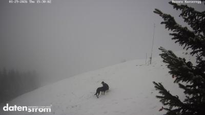 Bazora – Schneeanlage