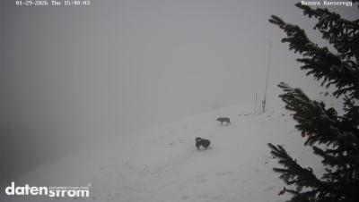 Bazora – Schneeanlage