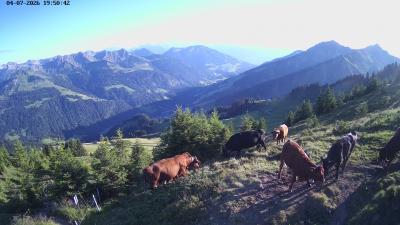 Großes Walsertal – Raggal