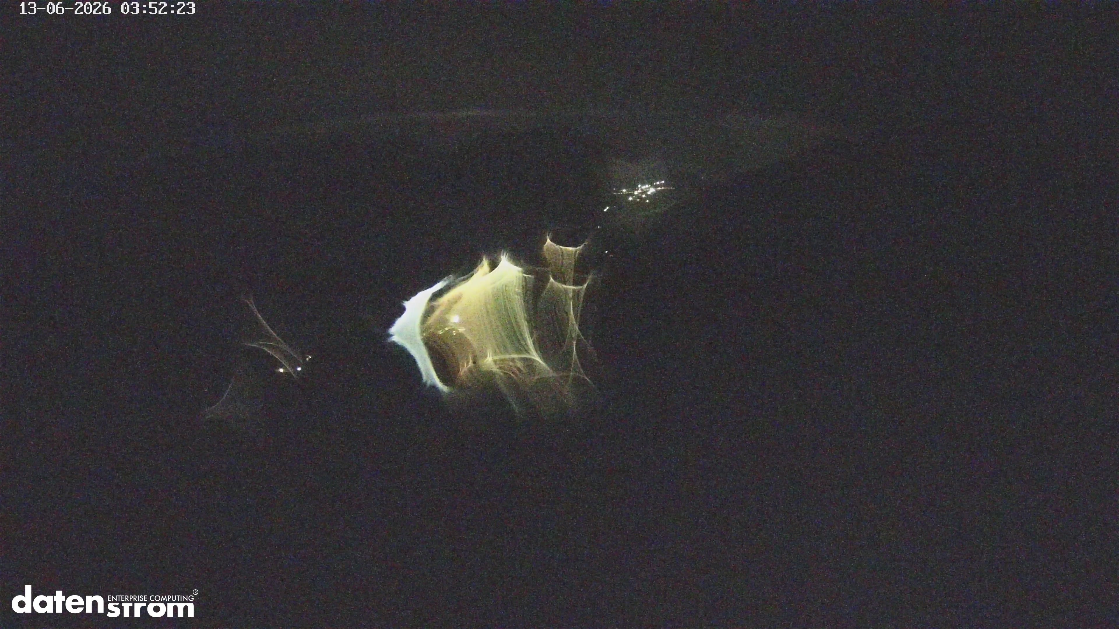 03:53