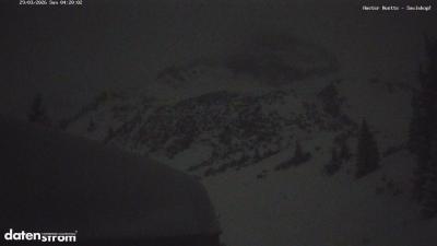 fresh_snow (0.38), heavy_snowfall (0.29)